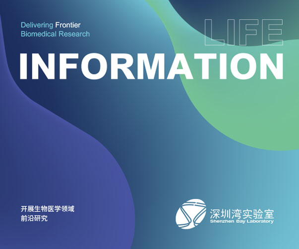 平湖秧綢品牌設(shè)計(jì)_杭州品牌設(shè)計(jì)公司
